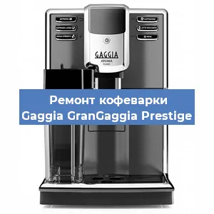 Чистка кофемашины Gaggia GranGaggia Prestige от кофейных масел в Тюмени